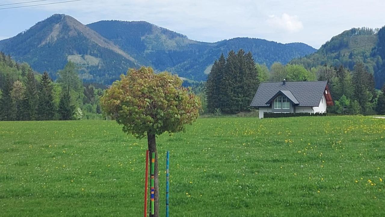 Ferienwohnung Seeberg Mit Almfeeling Faistenau Kültér fotó